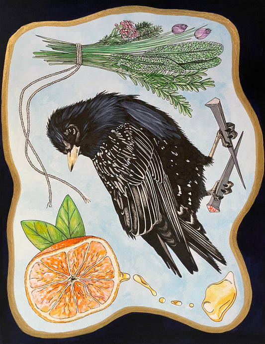 Starling Darling